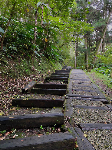 東眼山_2